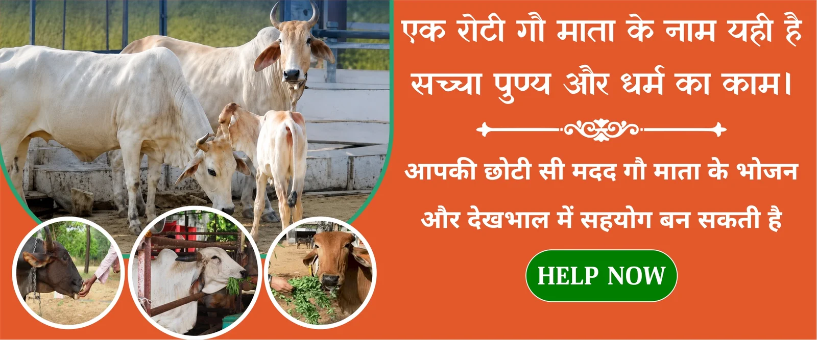 Cow protection and welfare banner