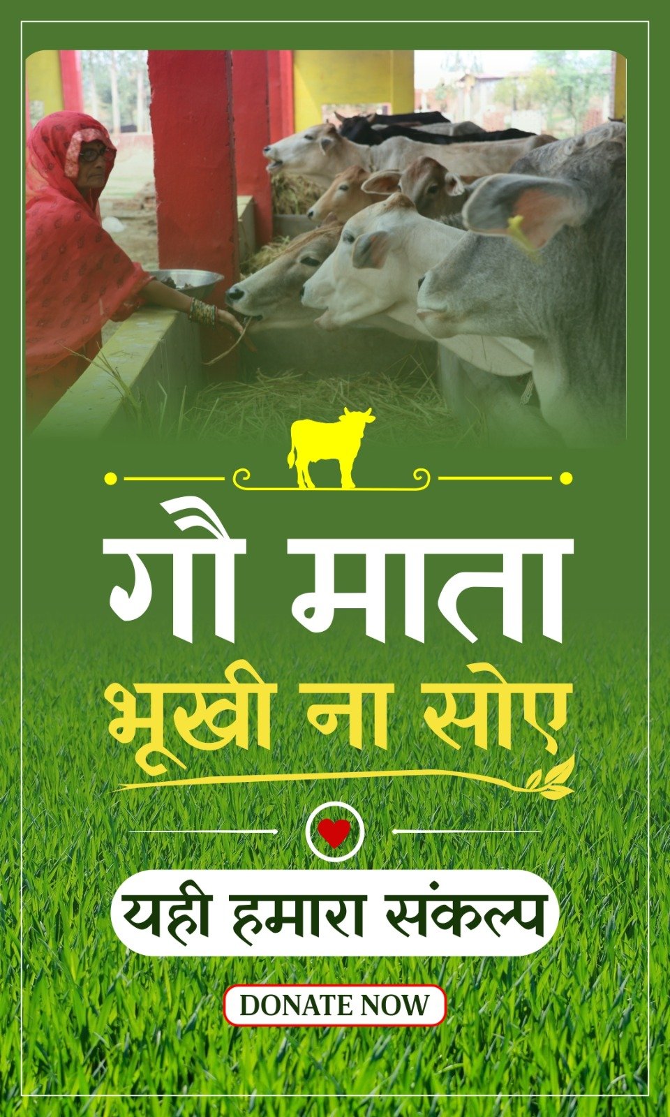 WhatsApp Image 2026-05-18 at 12.43.08 PM