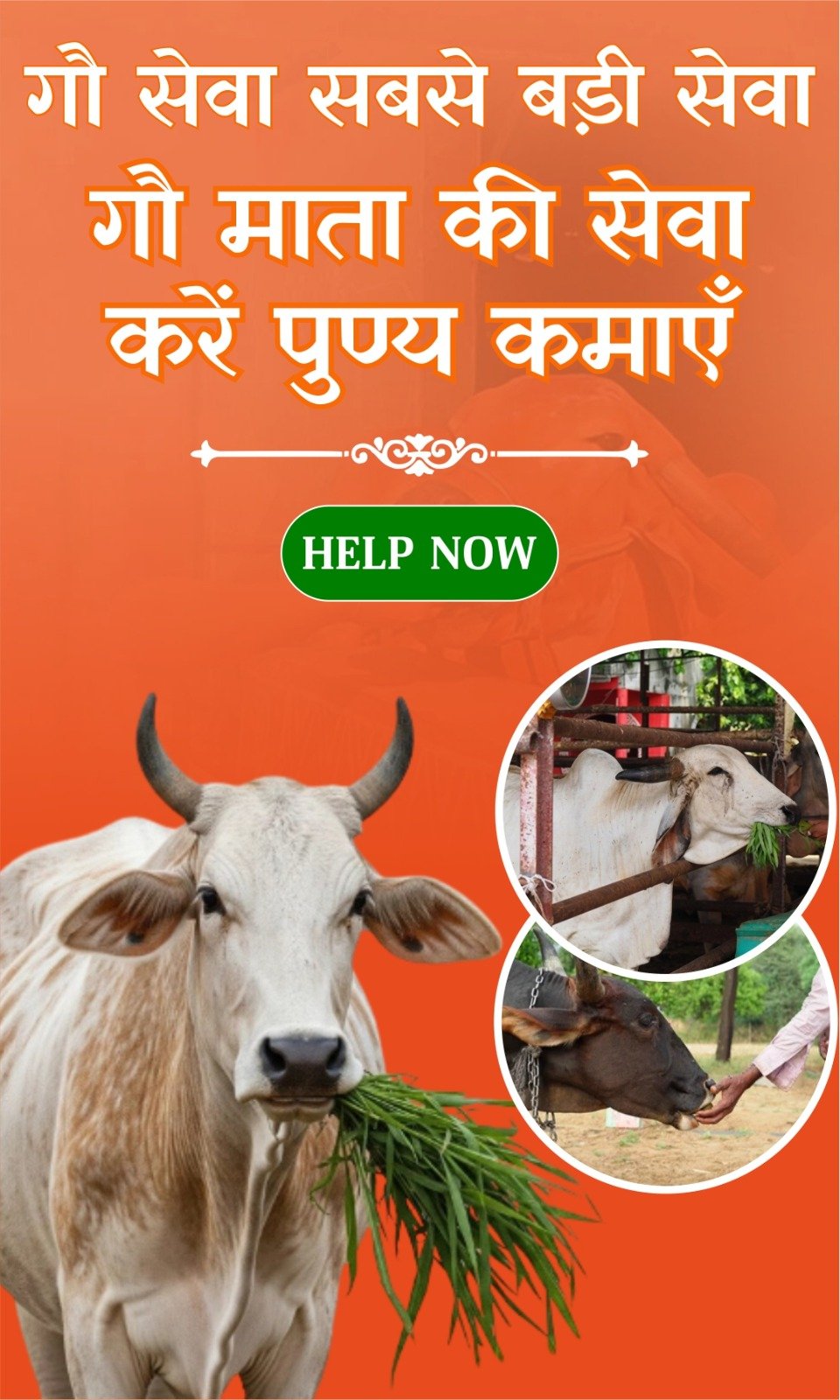 WhatsApp Image 2026-05-26 at 1.36.26 PM